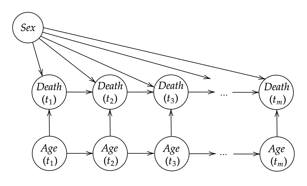 A small DAG with time-varying age